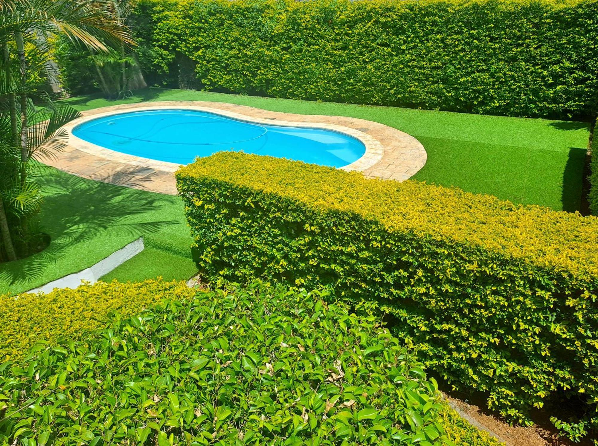 Appartement Paisible Avec Jardin & Piscine Albion Eksteriør billede